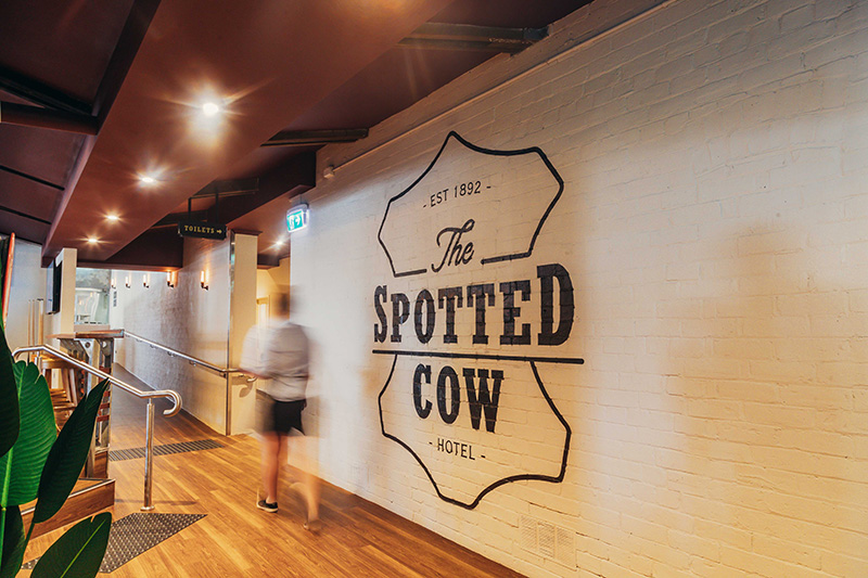 The Spotted Cow 6